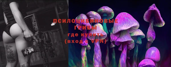 mix Алексин