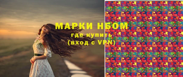 стаф Алексеевка