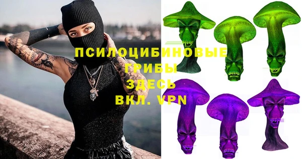 стаф Алексеевка