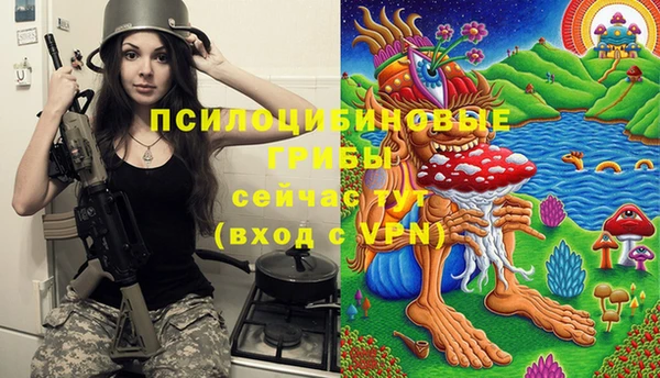 mix Алексин
