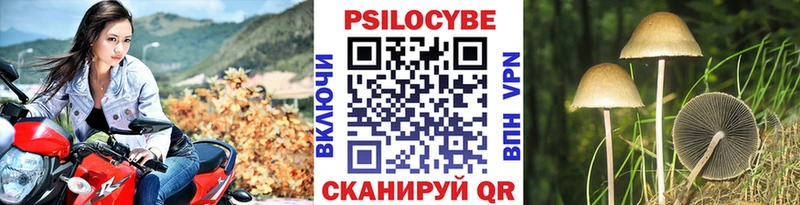 Галлюциногенные грибы MAGIC MUSHROOMS  OMG как войти  Краснокамск  как найти закладки 